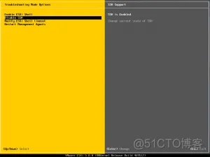 ssh esxi主机需要密钥 esxi ssh密码登录_图形界面_05