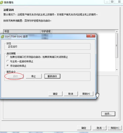 ssh esxi主机需要密钥 esxi ssh密码登录_VMware_08